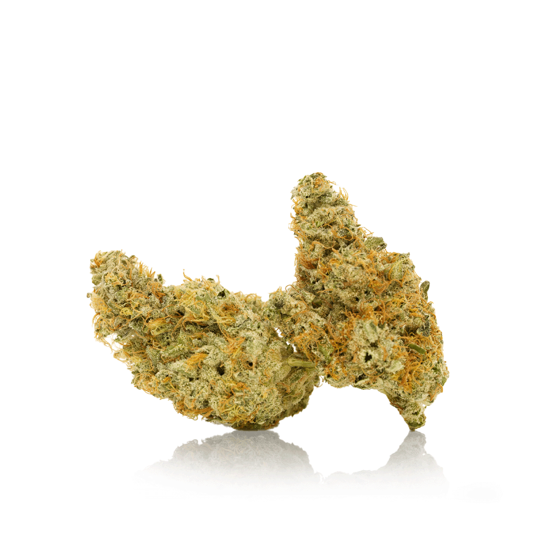 Peach Crescendo